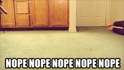 photo tumblr_mauf99r1Mo1qapn5eo3_250_zps5004473a.gif