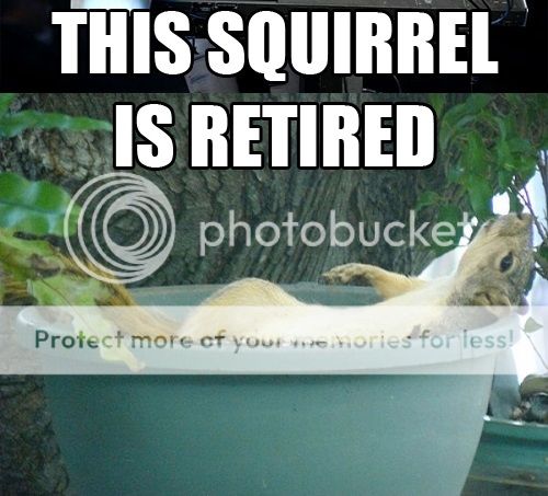 retiredsquirrel_zps18e7e2b1.jpg