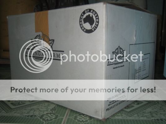 Phân phối sỉ chè Khúc Bạch - 11