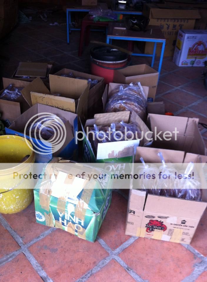 Bánh Tráng Mắm Lạc Lâm - 2