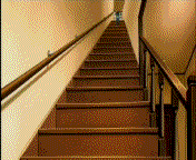 photo RozenMaiden-stairs_zps94fd8f6c.gif