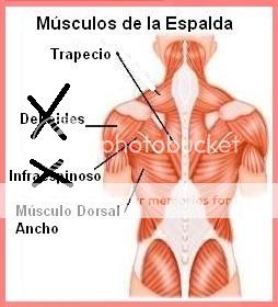 La profiláctica de los dolores en las extremidades y la espalda