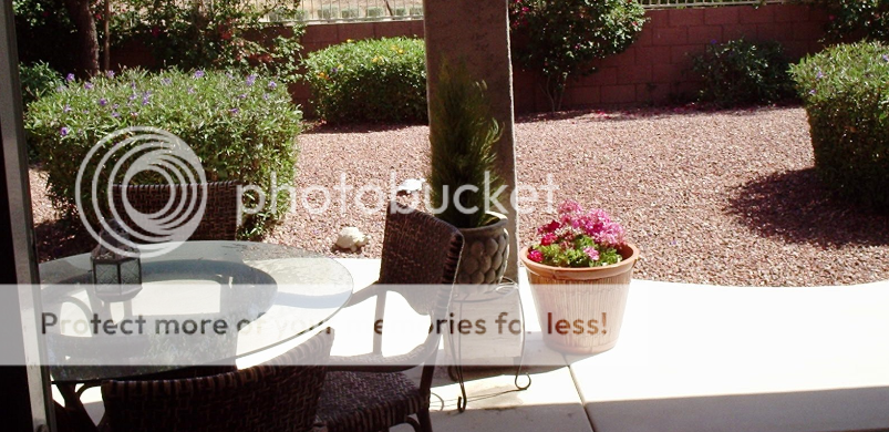 How to Build a Small Backyard Patio