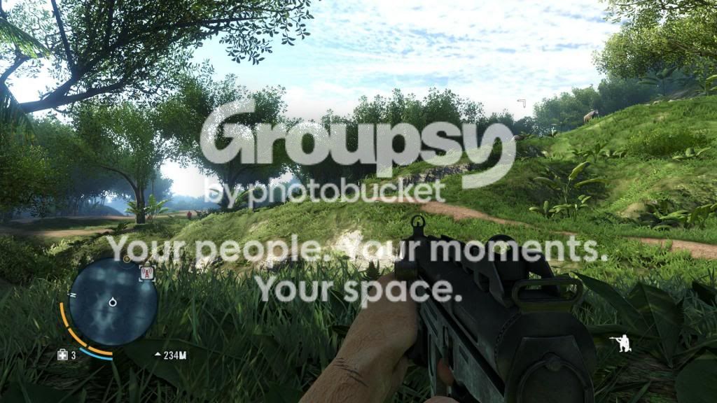 farcry3_d3d112012-12-0107-17-41-08.jpg